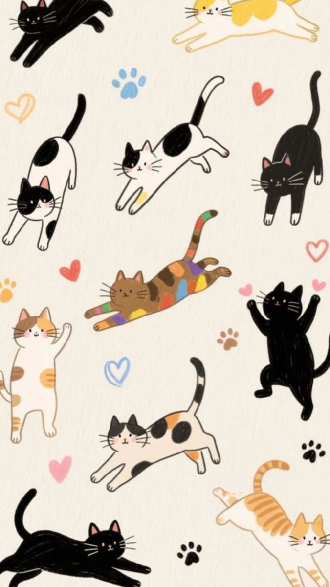 cutedreamvibes's tweet image. 