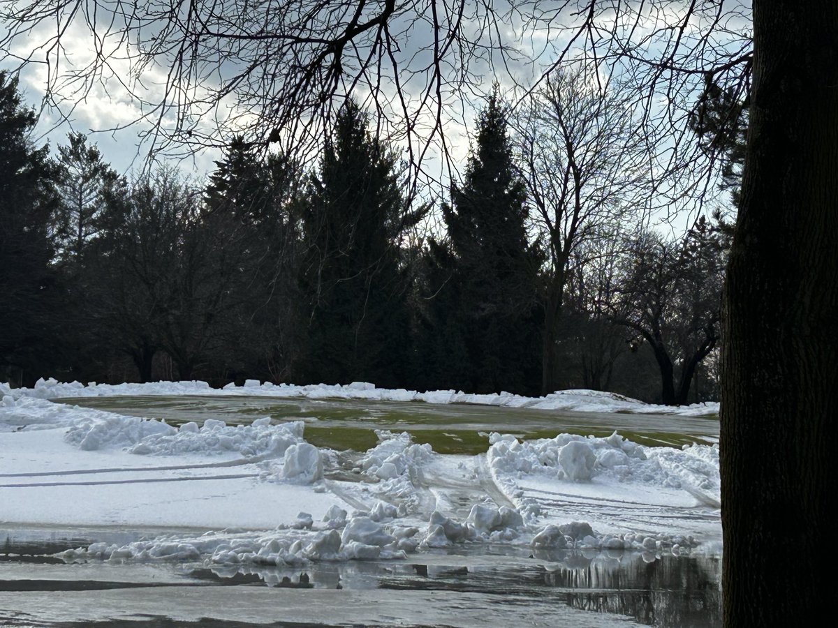 David Currie 🇨🇦⛳️🔧er tweet media