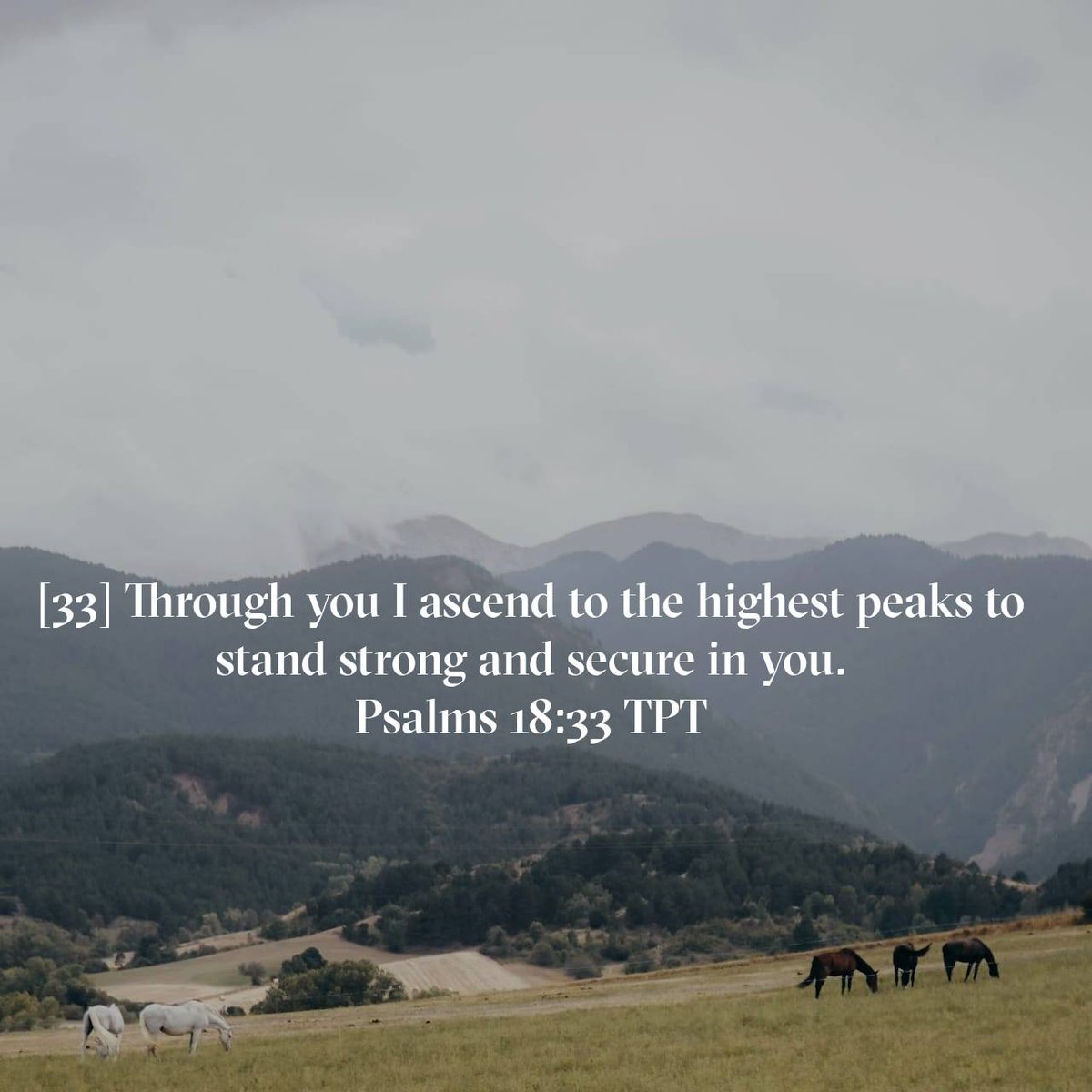 docpheel's tweet image. Psalms 18:33 TPT
[33] Through you I ascend to the highest peaks to stand strong and secure in you.

bible.com/bible/1849/psa…