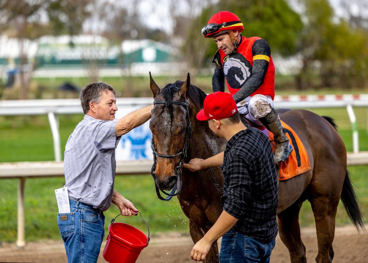 Silver Springs Training tweet media