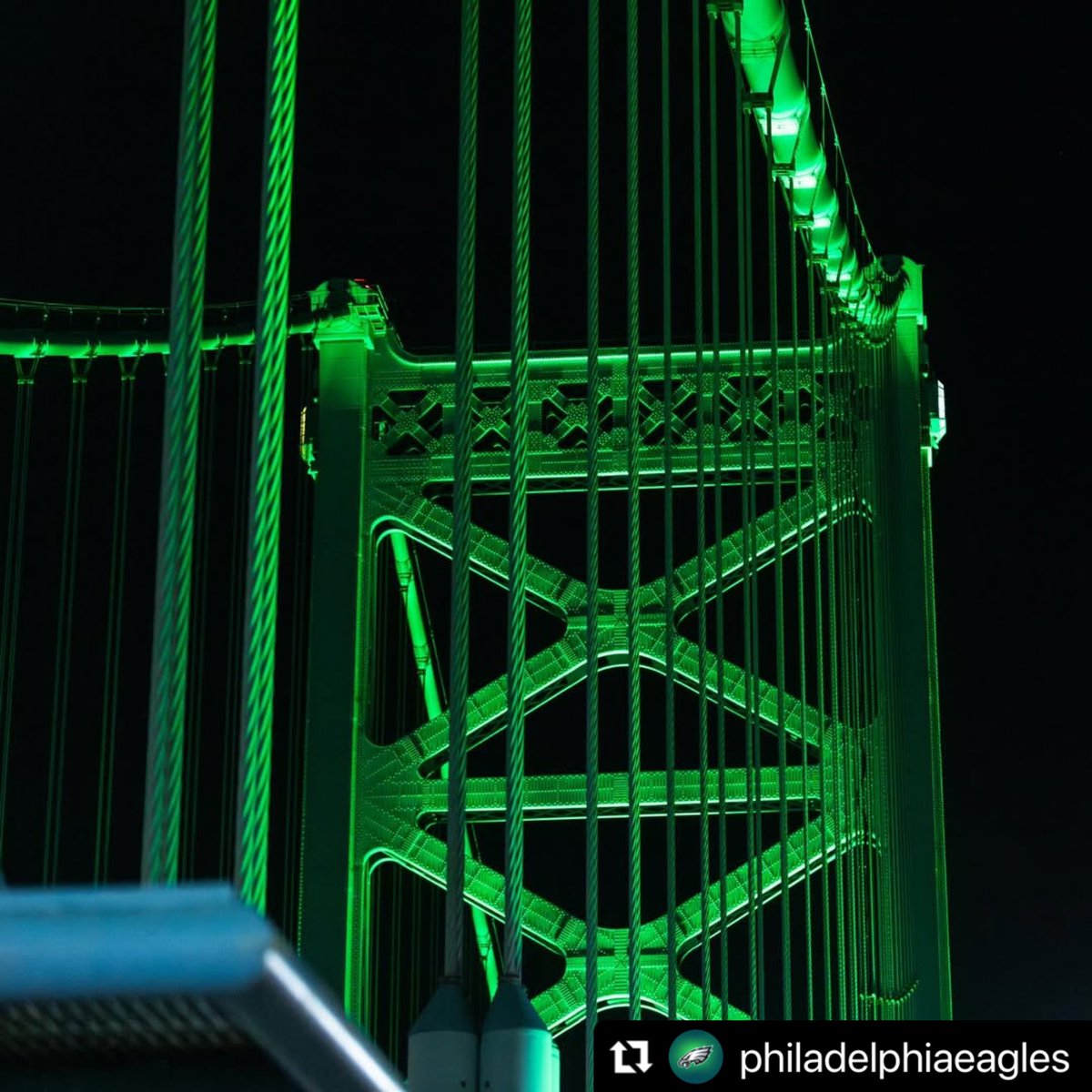 PhiladelphiaGov's tweet image. Got that green on all weekend. 🦅

#Repost @Eagles 
The Emerald City 🟢