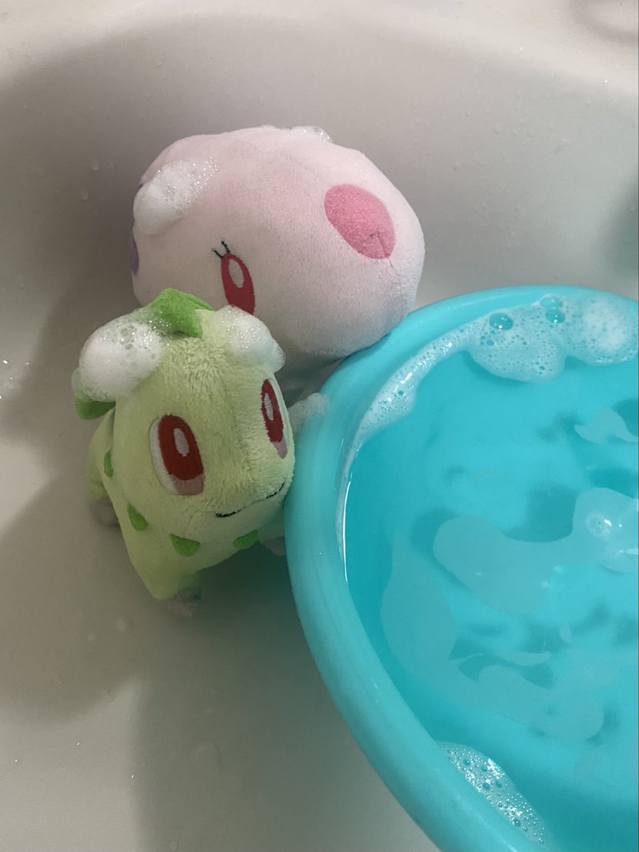 くたくたのチコリータ (@Kutarita09) / Posts / X