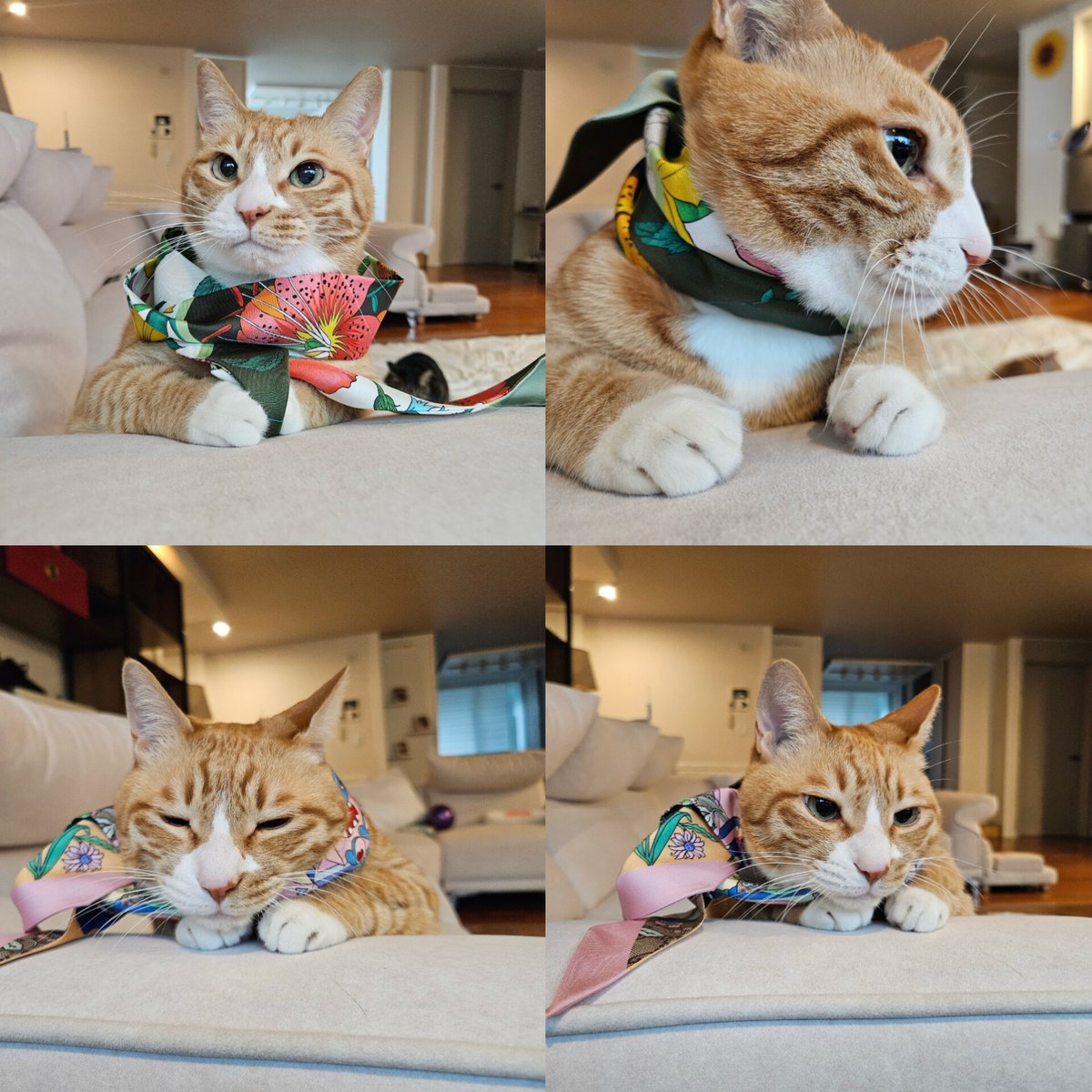 viraleeknow's tweet image. Soonie wears gucci printed silk ribbon 

#HappySoonieDay