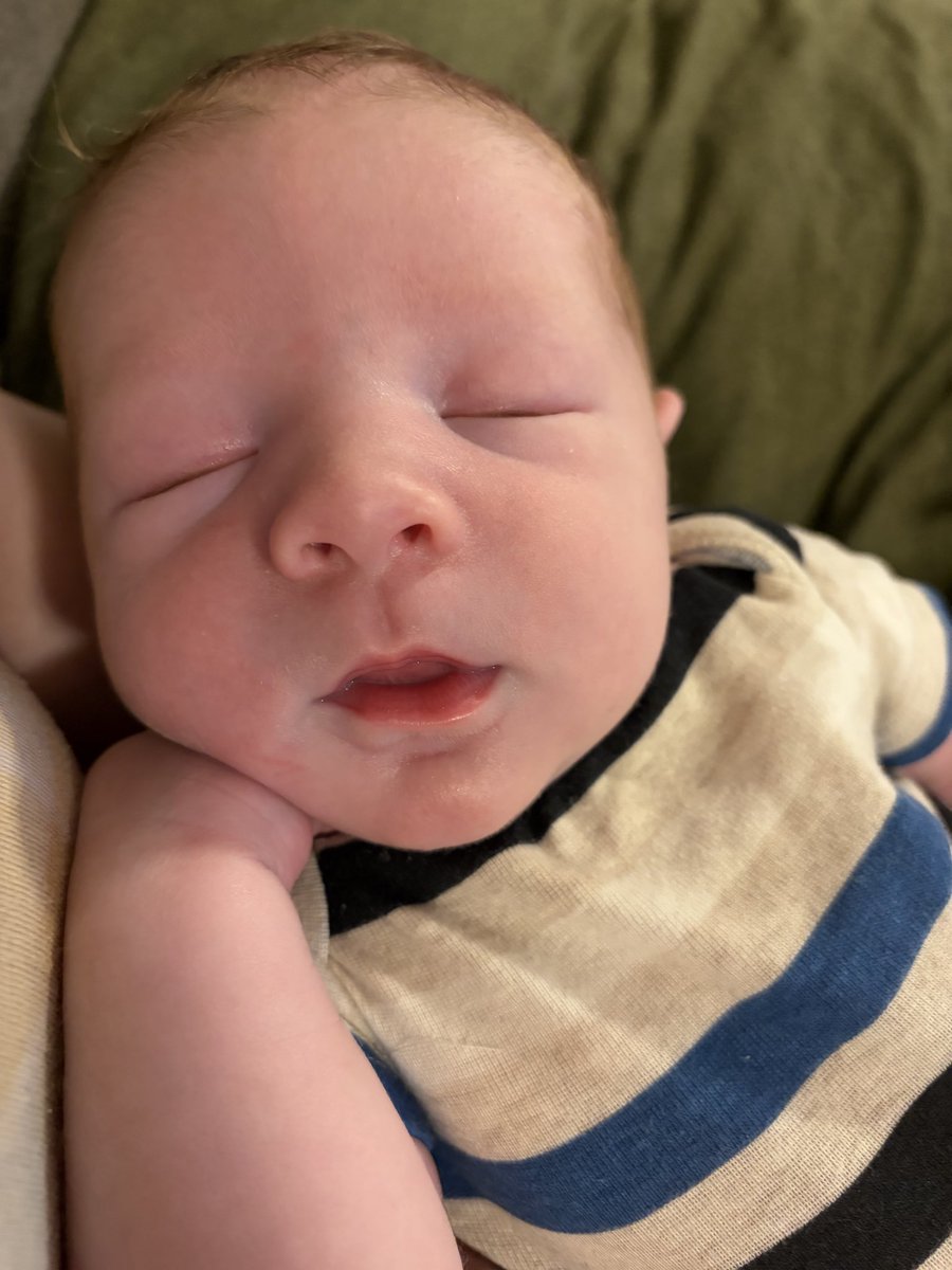 chagurlmeg's tweet photo. Avery is a week old today 🥲 https://t.co/zTHieFvgyb