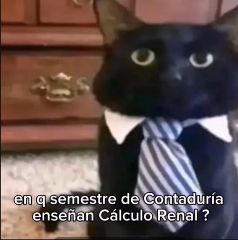 Bob Patinho (@bobpatinho_) on Twitter photo 