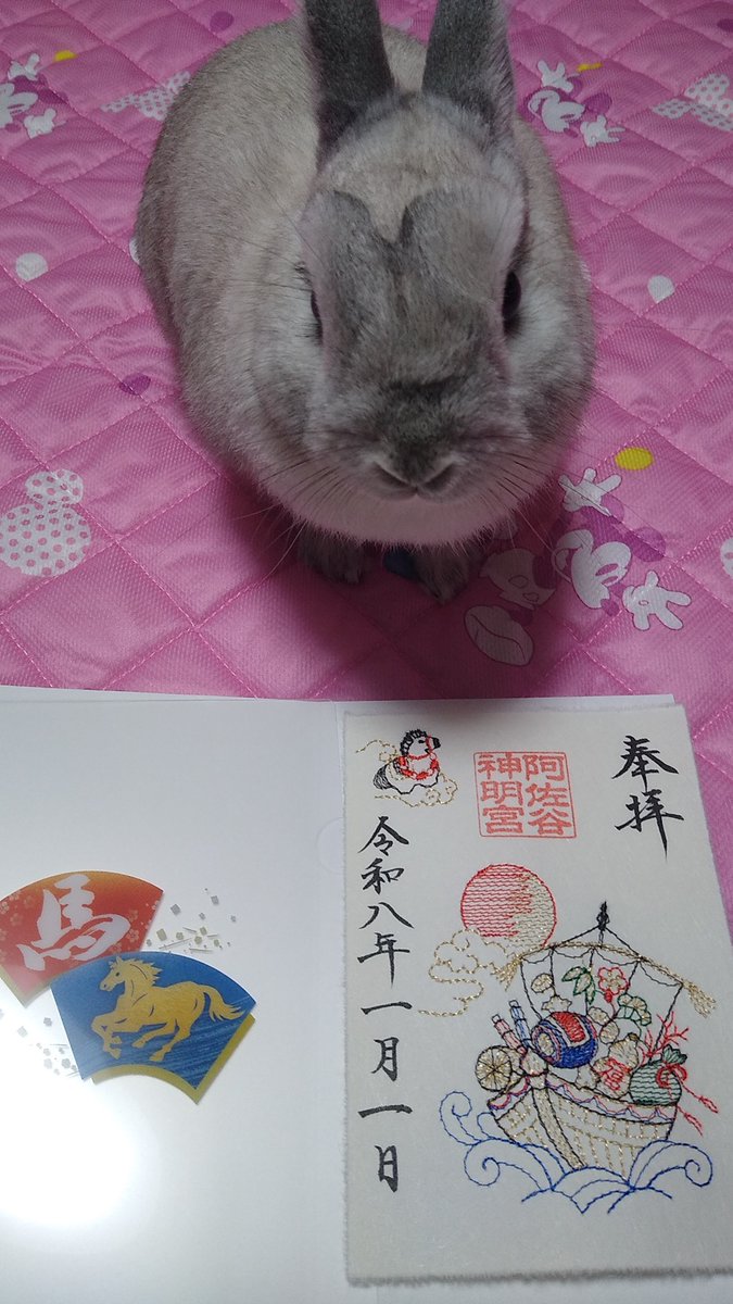 プリンセスラビット tweet media