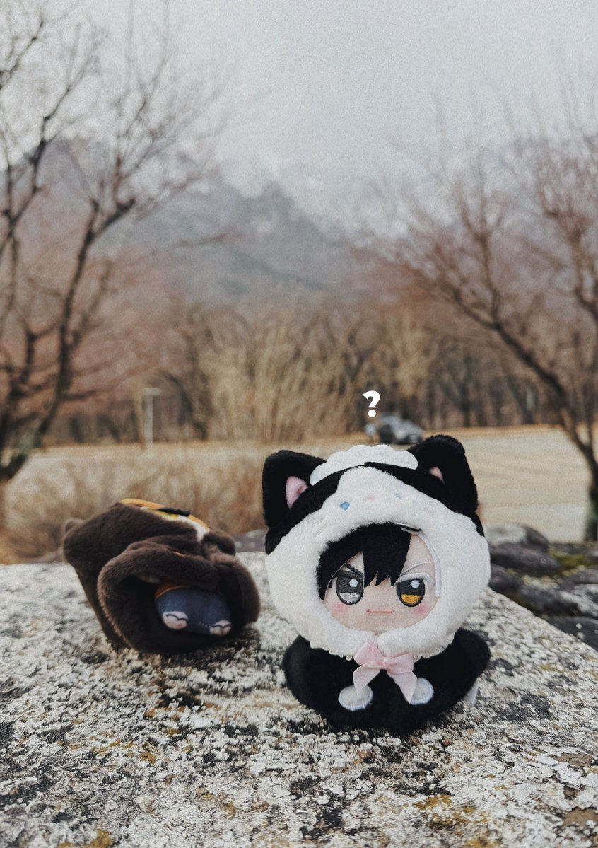 lumispecter's tweet image. 얘들아,,