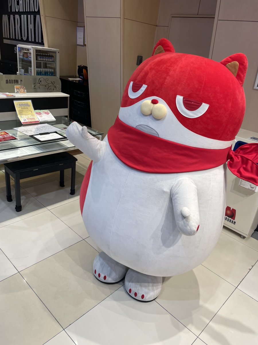 まるまるページ 1月10日(土) 2026年初のにゃんまる来店～('ω') 3連休初日を一緒に