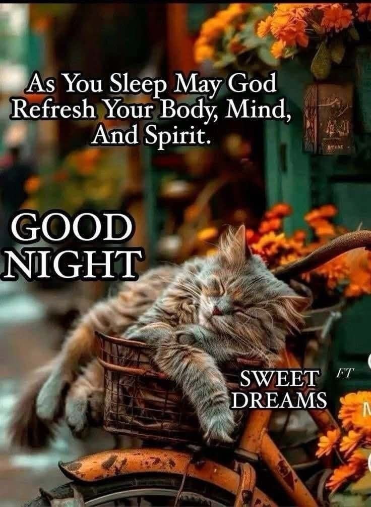 🇺🇸Lady Vet tweet media