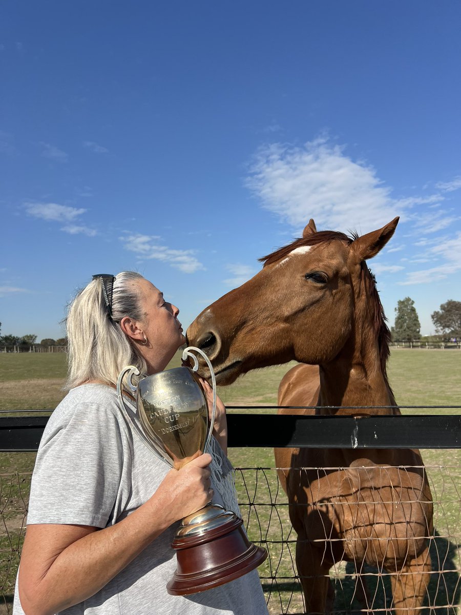 Vale Durston 🧡🐎

We are deeply saddened to share the passing of Durston, who was sadly lost following a paddock accident during what was one of his regular morning gallops with paddock mates Twilight Payment and So Si Bon. 

Durston was a truly gentle soul — affectionate,