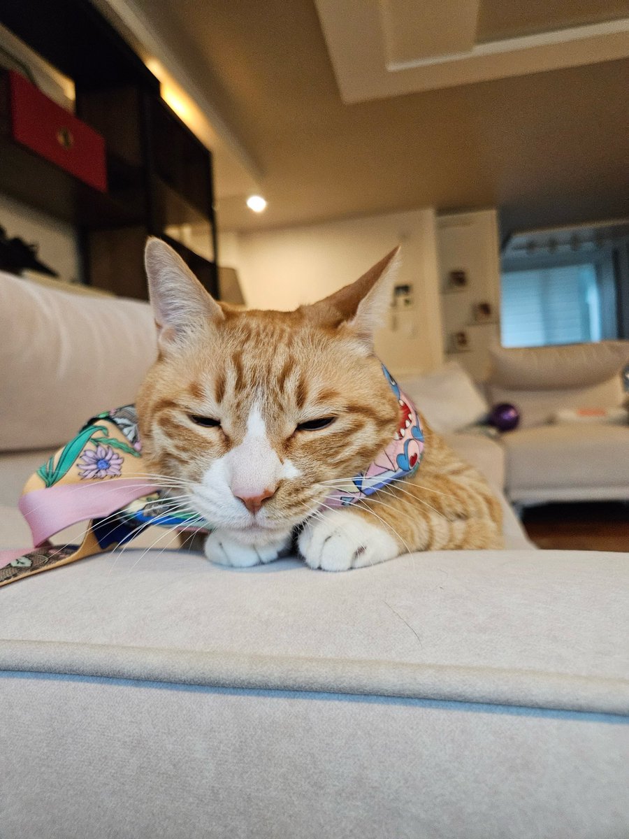 linotexts's tweet image. 260110 ✧ 9:56 am kst | 8:56 am cst

[picture]

[picture]

[picture]

[picture]