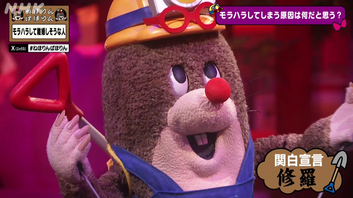 NHK ねほりんぱほりん tweet media