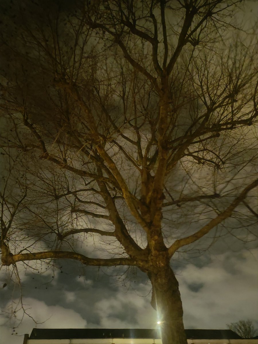 SLAIN South London Animal Investigation Network tweet media