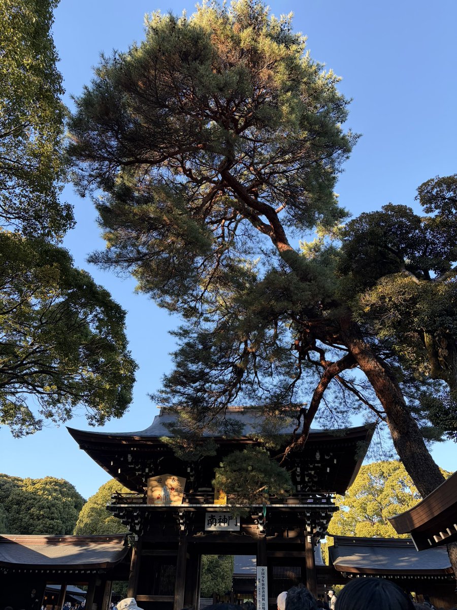 おみくじ引くの忘れちゃったけど
今年も参ってきた。

素敵な年になりますように☆。.:＊・゜