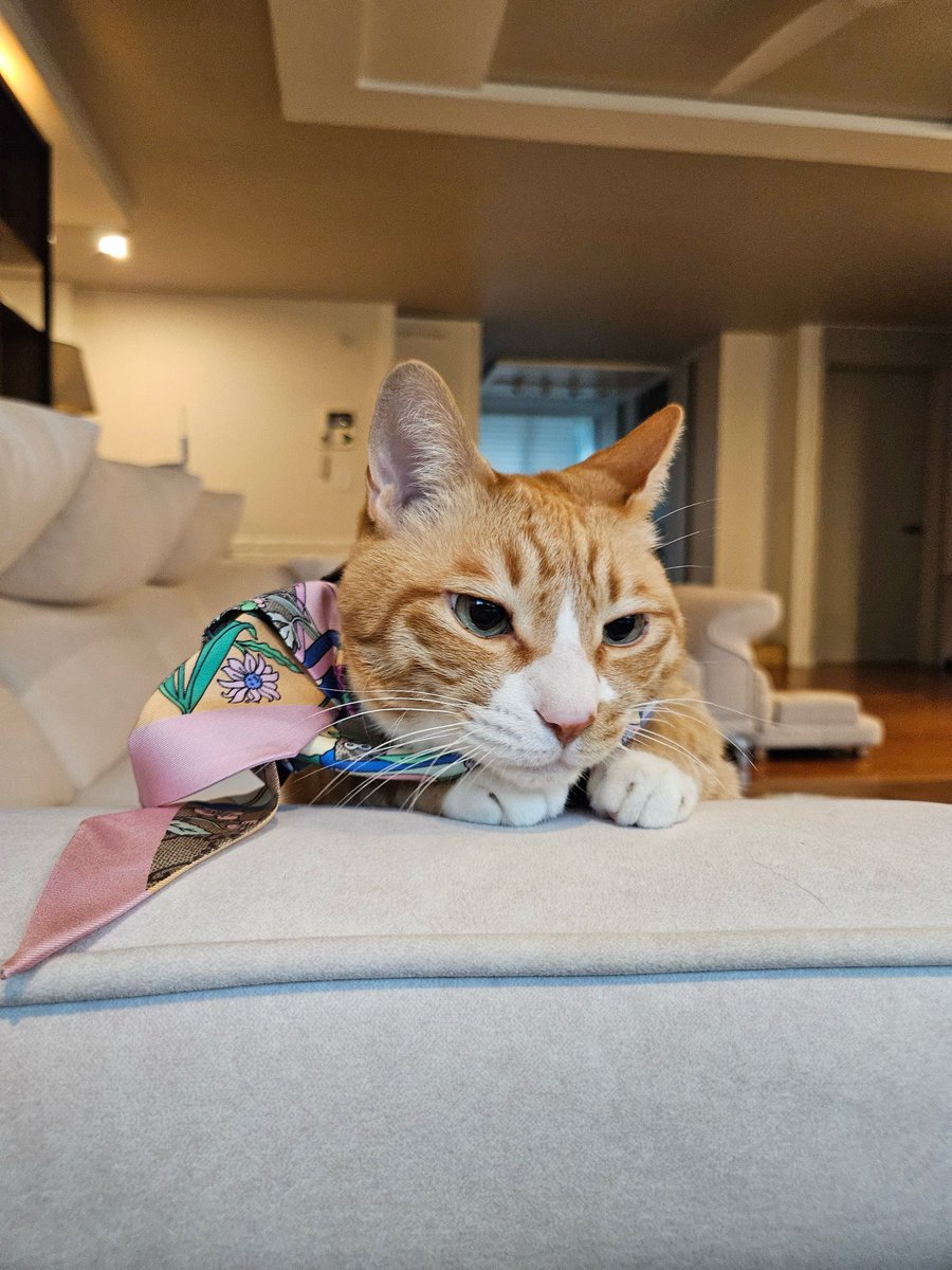 spearhyunnie's tweet image. SOONIE WEARING GUCCI SILK RIBBON! HAPPY BIRTHDAY SOONIE 🤍