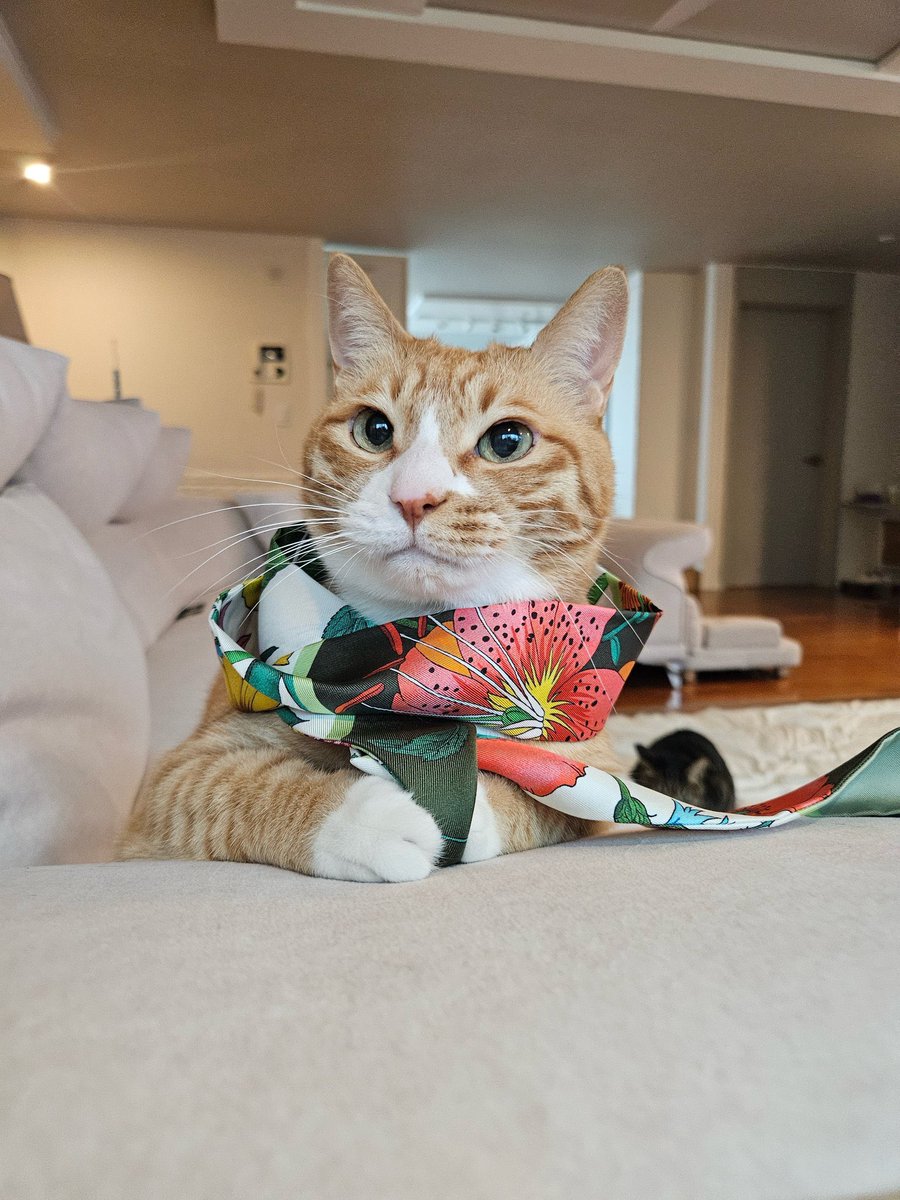 spearhyunnie's tweet image. SOONIE WEARING GUCCI SILK RIBBON! HAPPY BIRTHDAY SOONIE 🤍