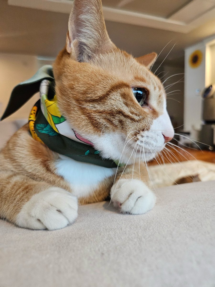 spearhyunnie's tweet image. SOONIE WEARING GUCCI SILK RIBBON! HAPPY BIRTHDAY SOONIE 🤍