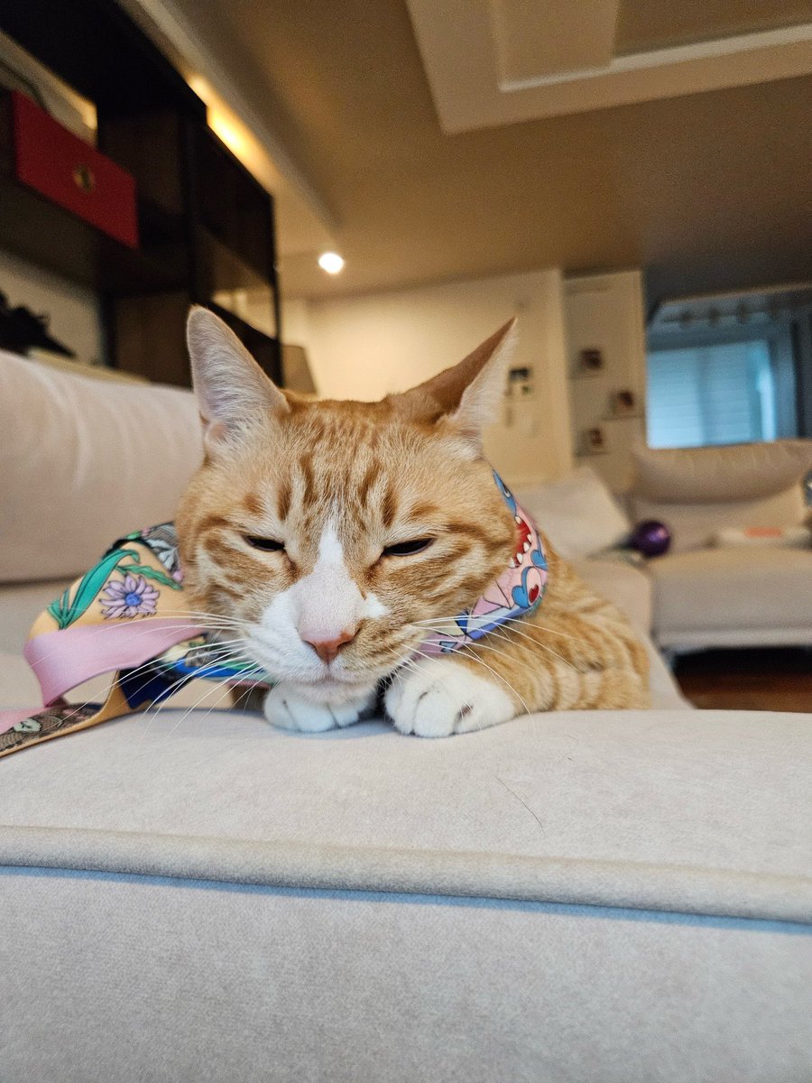 spearhyunnie's tweet image. SOONIE WEARING GUCCI SILK RIBBON! HAPPY BIRTHDAY SOONIE 🤍