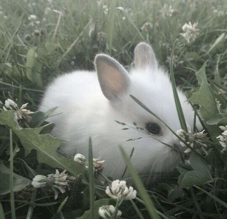 heartcompendium's tweet image. looking 4 moots!

‧₊˚♡ 20, she/they

‧₊˚♡ genshin, hsr, crk, otome games

‧₊˚♡ art, reading, writing, cosplay, gaming, fashion

‧₊˚♡ orv, bsd, tgcf, lotm

♡/⟳ if u wanna be moots ໒꒰ྀིっ˕ -｡꒱ྀི১
#promotwt #anitw #booktwt