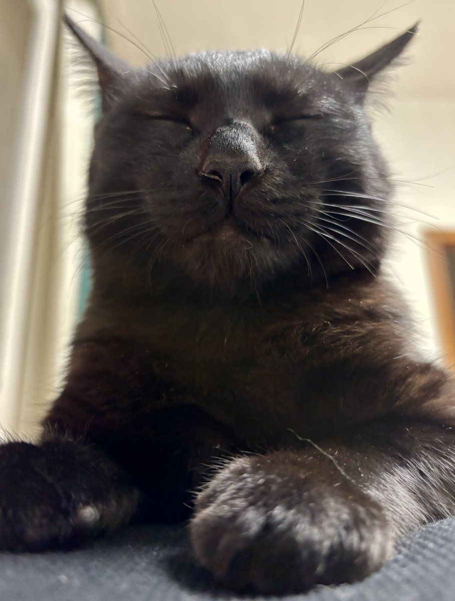 tmszhjh88's tweet photo. Close the eyes for rest https://t.co/2hALWuepWu