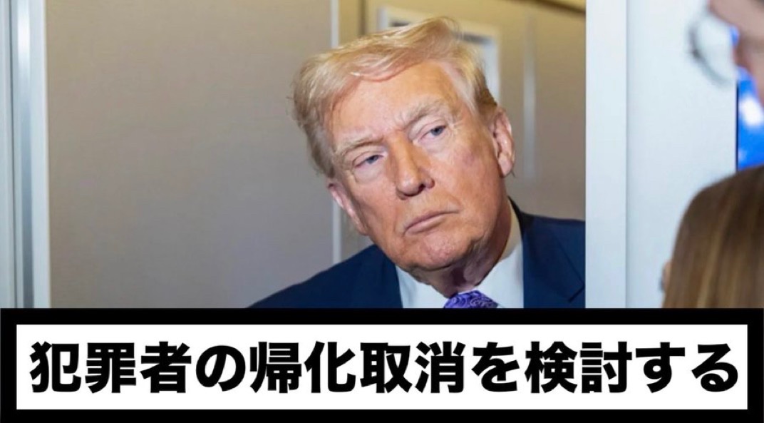 日本もやるべきだと思う人✋