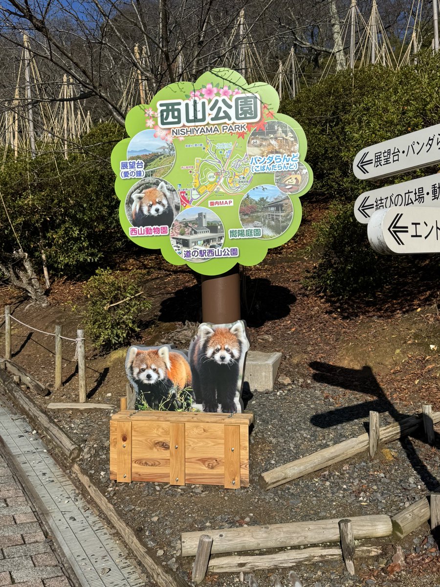 みりあん☺︎④ Pleated Wide Pants、Shiny Crew Neck Cardigan/Z」| GU的穿搭理念