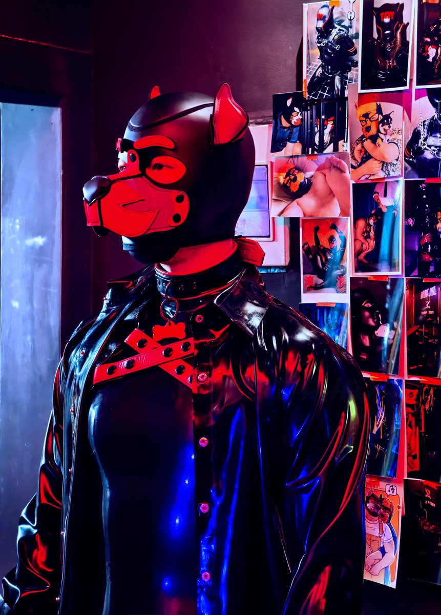 【万粉特典｜一场关于“驯服与自由”的隐秘仪式🐾】
    
当头套带上，温度在束缚与信赖间微妙平衡——这不是游戏，是献给懂得「主权游戏」之人的美学提案。

🎁 抽奖奖品
<a href="/Gibbon_Black/">GibbonBlack_CN</a> × 定制狗头套 1件

⏰ 即日起 - 1月15日 23:59
（开奖后24小时内将私信联系）
⛓️ 入场密钥
关注➕转发➕评论！