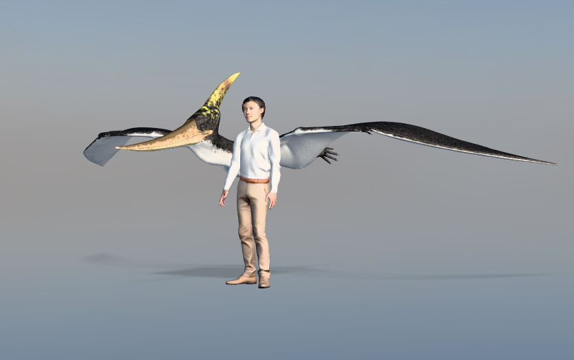 k_fujimiya's tweet image. 年が変わって #バーチャル恐竜図鑑 新章突入！
恐竜以外の情報も載せていきます。

まずは翼竜代表の #プテラノドン です！

zukan.kyoryukan.net/dinosaurs/pter…

#恐竜 #Pteranodon #dinosaur