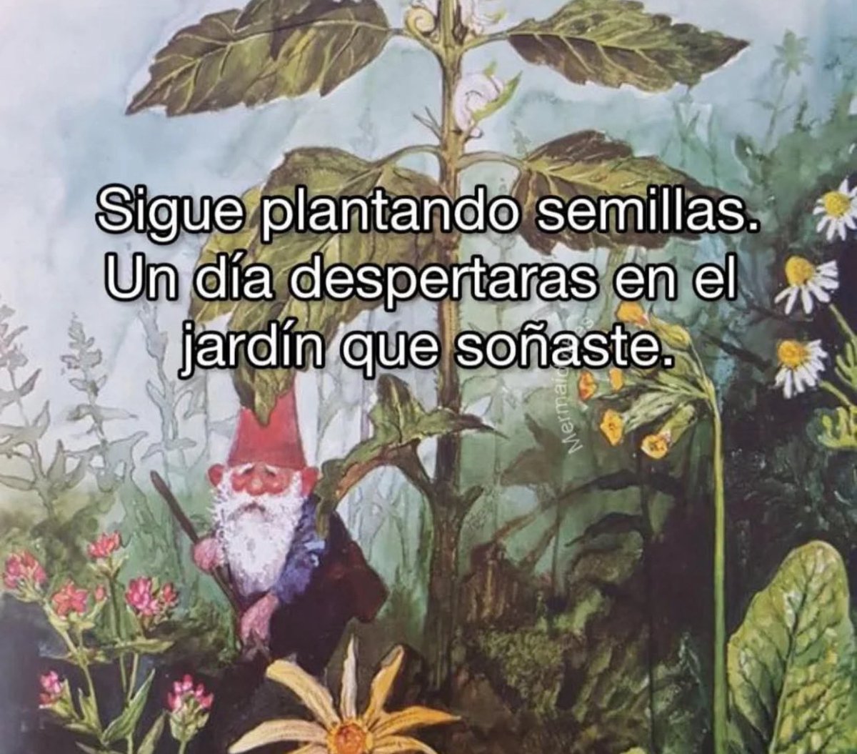 conoloracigarro's tweet photo. https://t.co/RaQJrSO6QQ