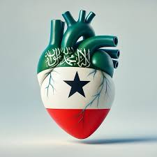 RAbdiAnalyst's tweet image. Somaliland has learnt how to cope with disappointment and bounce back. 

Crucially, Somaliland has demonstrated ability to turn adversity into opportunity.

In the course of the last 30 years, It proved its resilience, kept on doing the right thing to consolidate its internal…