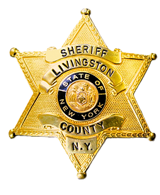 LIVONIA – Sheriff Thomas J. Dougherty reports the arrest of a Livonia resident on felony charges following an investigation by the Livingston County Sheriff’s Office.

Please click the link to visit our website and view the news release:

livingstonsheriffny.gov/post/felony-ar…