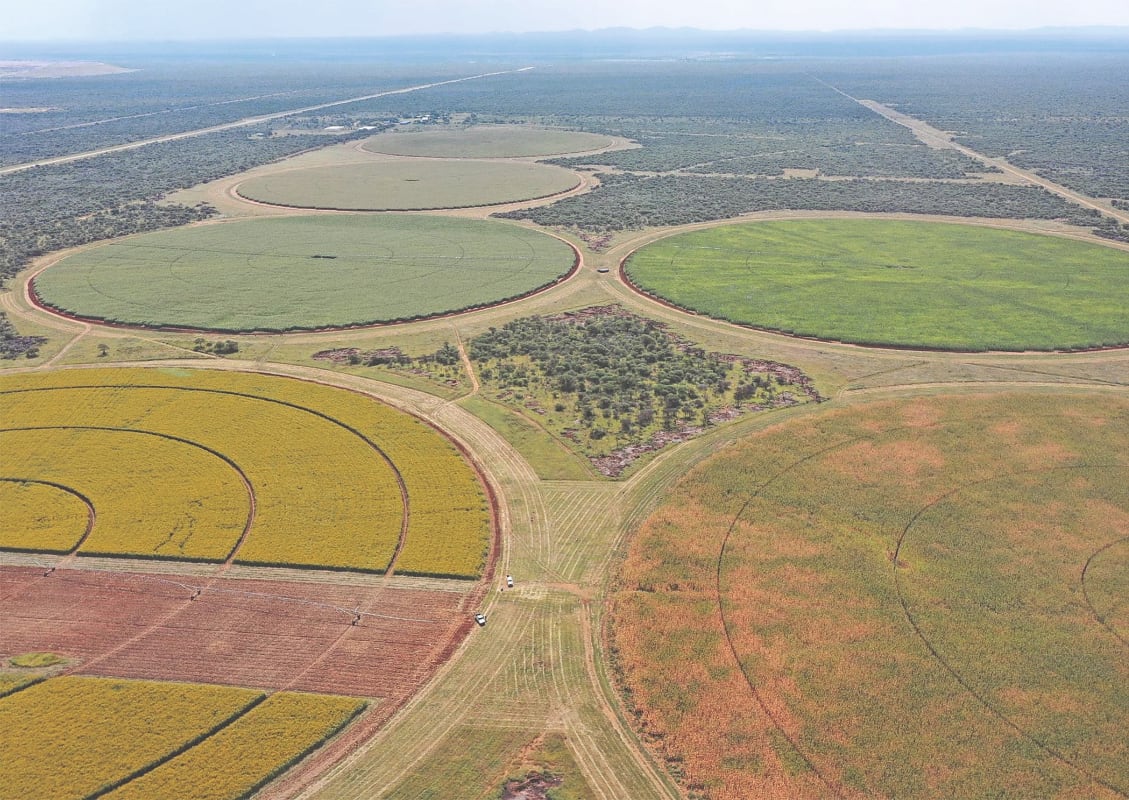 NestorSiurana's tweet image. Las explotaciones agrícolas de Namibia abarcan unas 800.000 hectáreas pese a ser prácticamente un desierto.

Pero lo llamativo no es esto.

Los agricultores blancos poseen el 70% de las tierras agrícolas.

Los namibios negros poseen el 16% y el Gobierno controla el 14% restante.