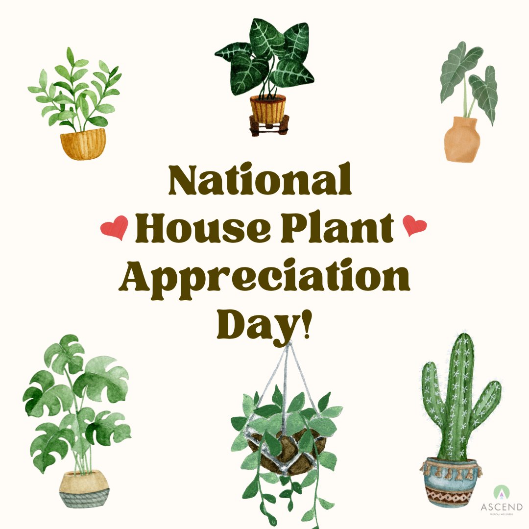 ASCEND_MW's tweet image. Today is National Houseplant Appreciation Day! 🌱

Gardening, whether tending to a houseplant or a garden, is therapeutic and a great way to practice mental wellness. 

These small acts of care can bring calm, routine, and a sense of accomplishment.