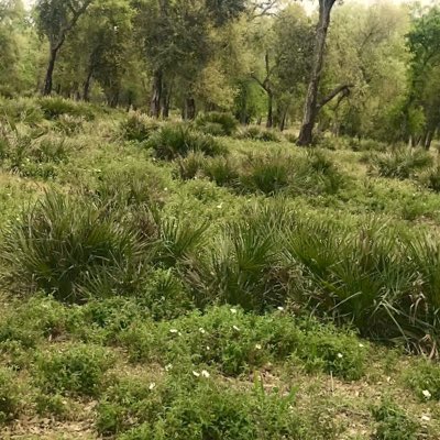 #صورة_جديدة_للملف_الشخصي