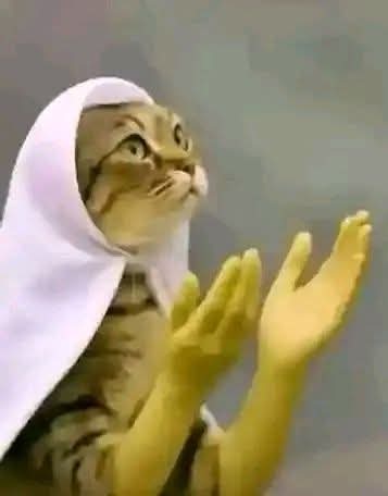 Deracares's tweet photo. @Lord_Of_Warri @afrisagacity Oh God🥲 https://t.co/wHISpYxVj1