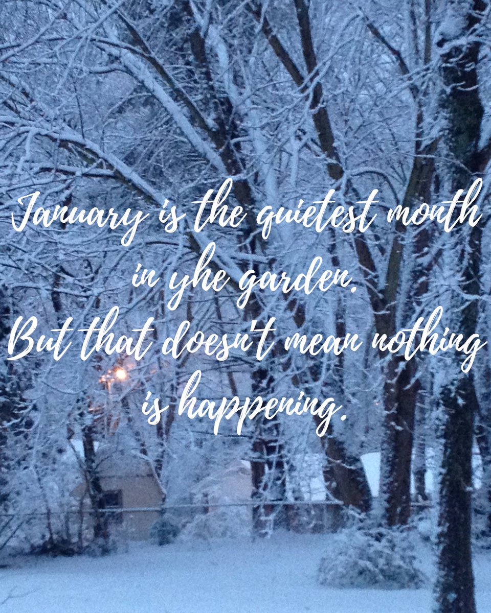 Candyce Carden tweet media