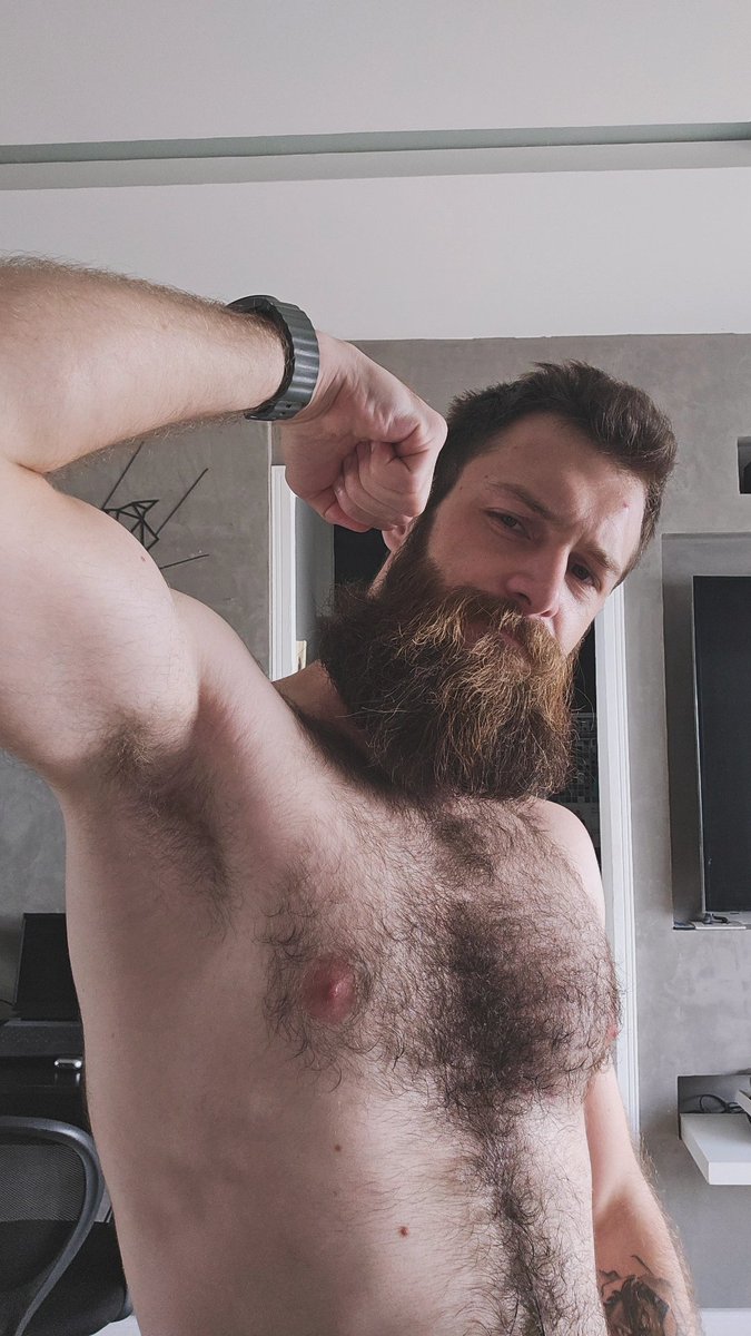 My OnlyCats tweet media