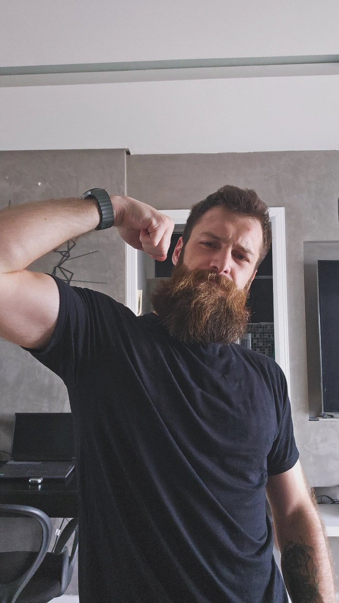 My OnlyCats tweet media