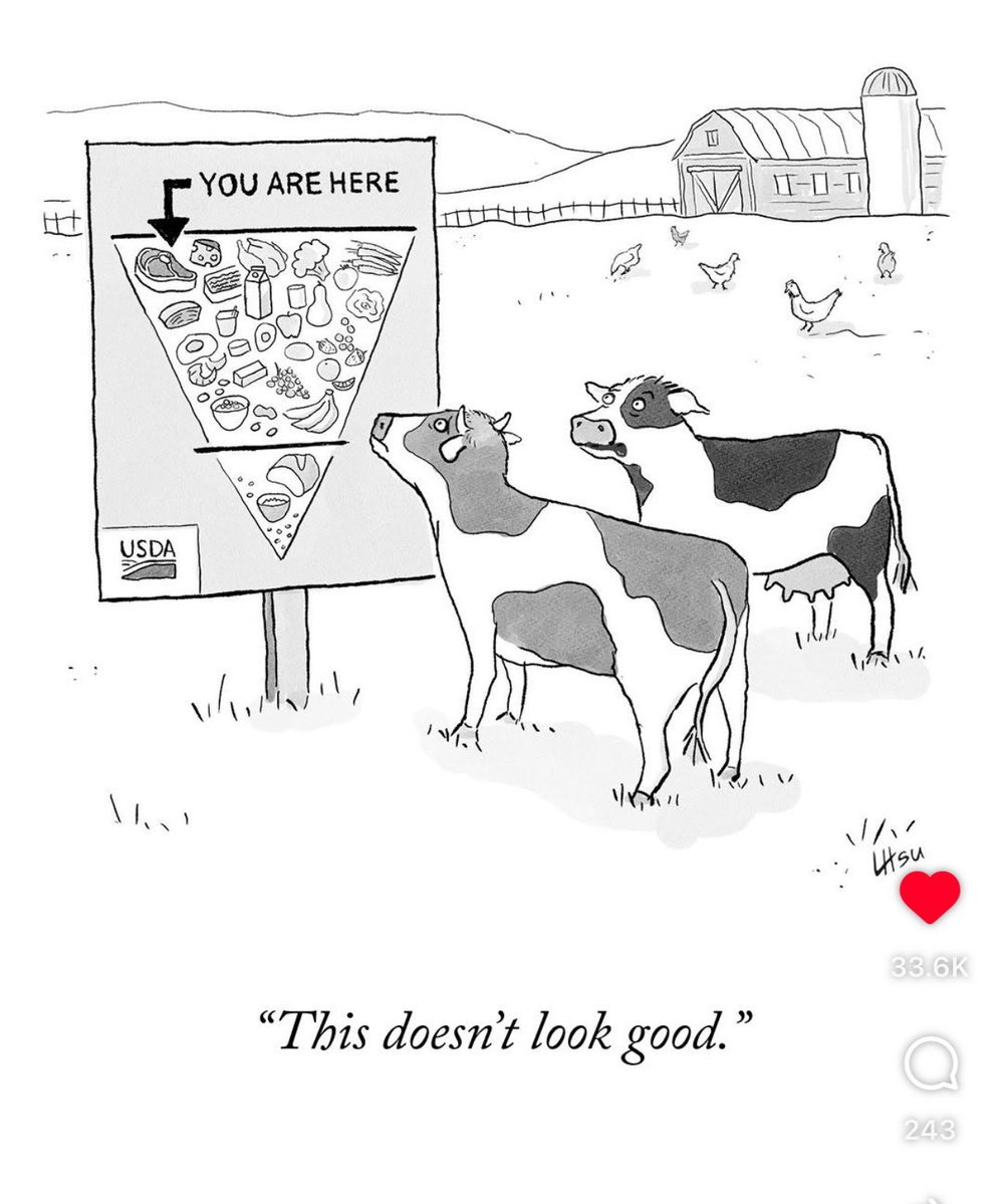 jaclyn wilson tweet media