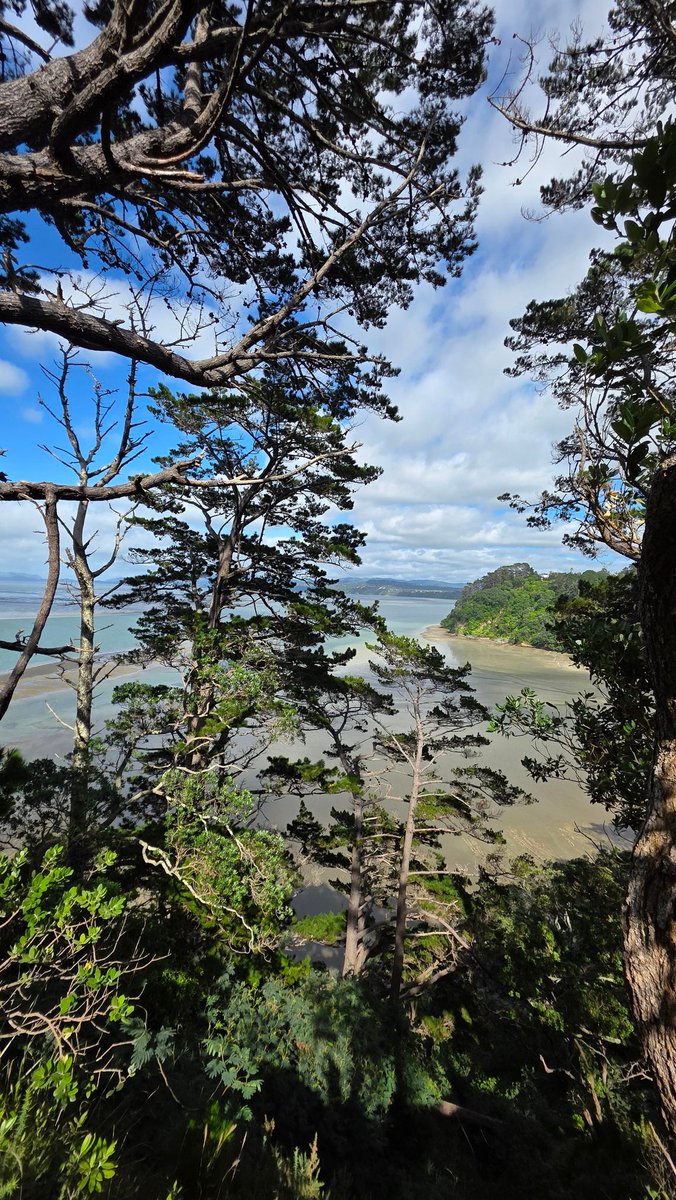 树太多不能算无敌海景 = 有敌海景