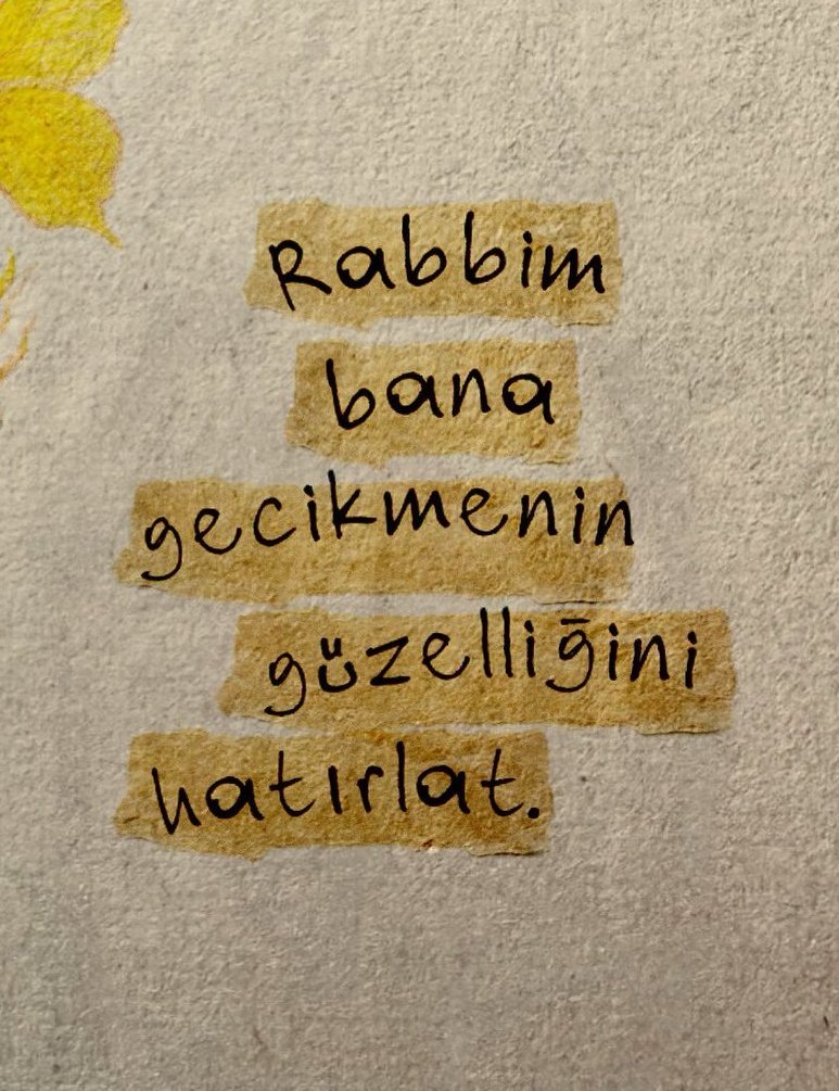 Monna Rosa (@ayaserenat) on Twitter photo 