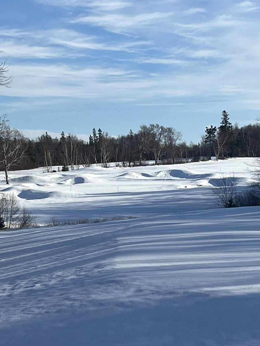 Green Gables Turf Department tweet media