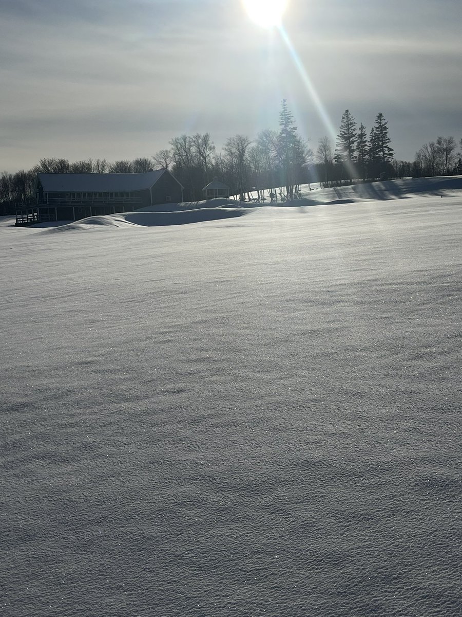 Green Gables Turf Department tweet media