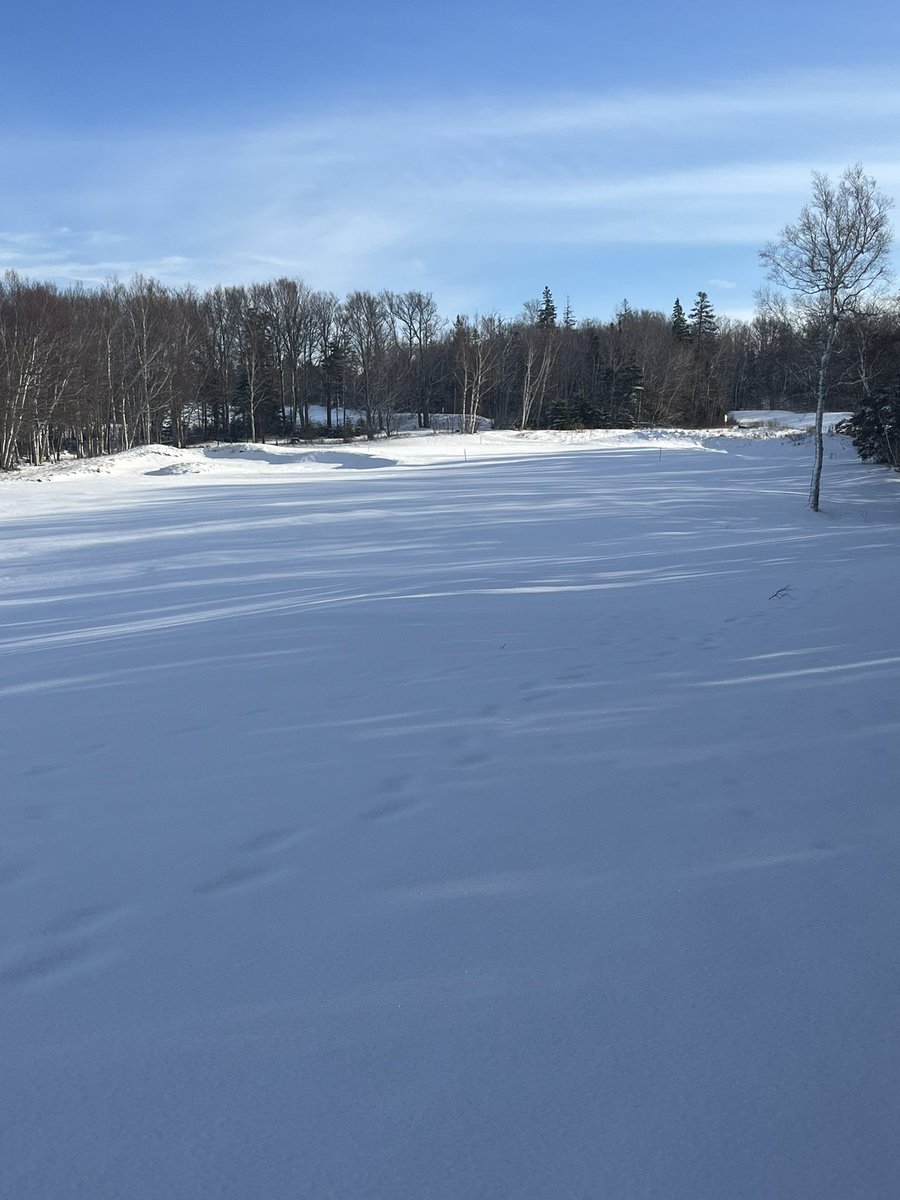 Green Gables Turf Department tweet media