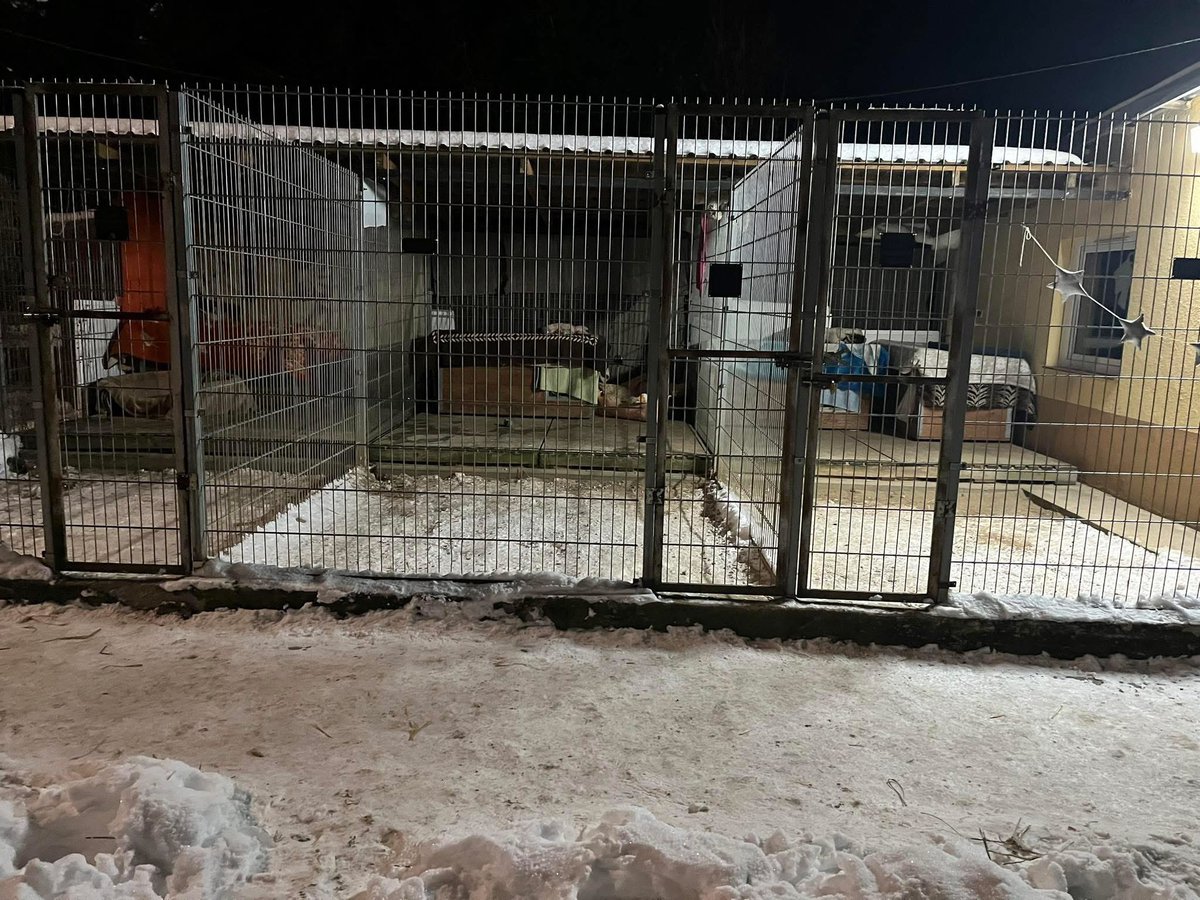 Późna godzina, ale to zdjęcie jest warte milion polubień.

Lidzbarskie Przytulisko dla Zwierząt.
Wszystkie kojce puste.
Bo wszystkie zwierzęta są bezpieczne w domach tymczasowych, w cieple, pod opieką ludzi!

Są takie widoki, które dają nadzieję. 🐾❤️

Ten post wrzuciłem nie