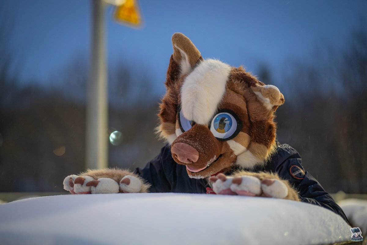 KeksiDragon tweet media