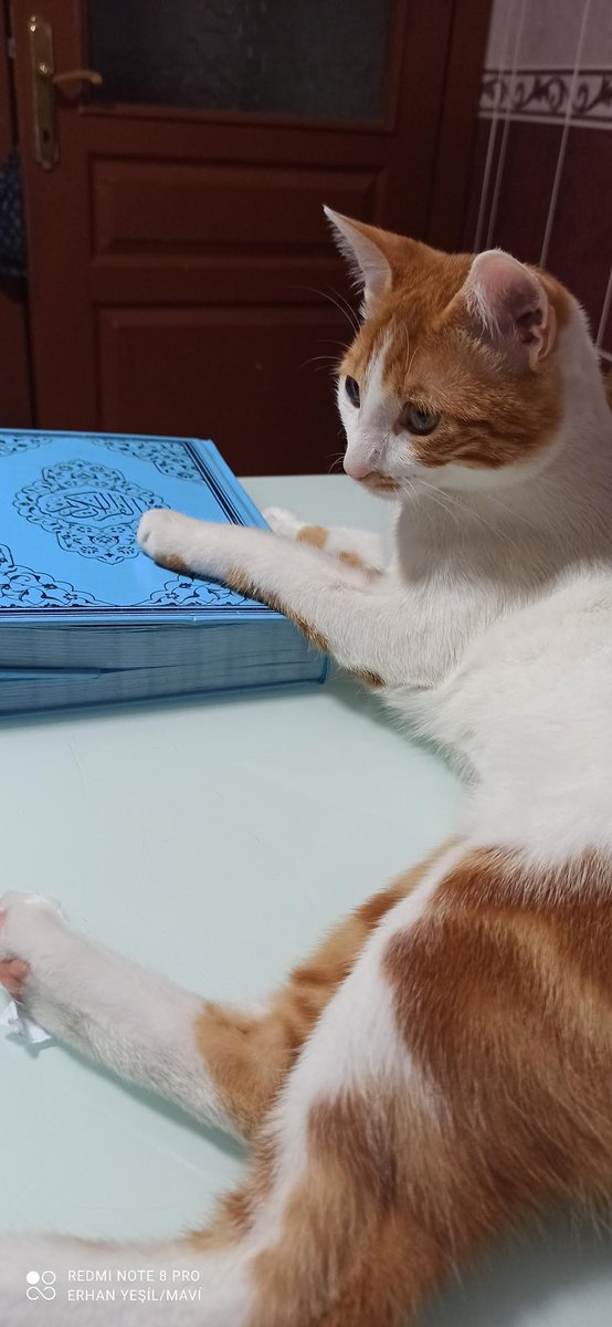 Geceye...

İki güzel nasihat;

Özüne sözüne ve gözüne sahip ol.

Edepli insan yalnızken belli olur...