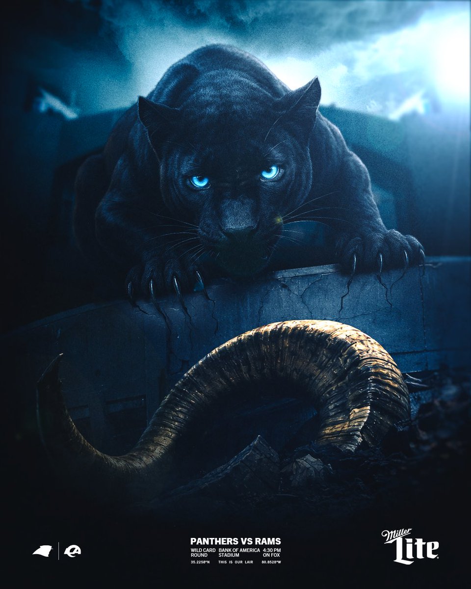 Carolina Panthers tweet media