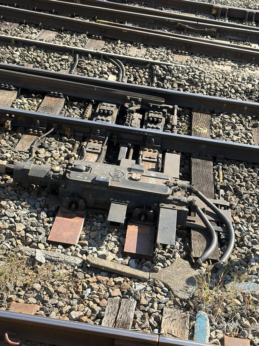 trynow_m's tweet image. おはようございます。