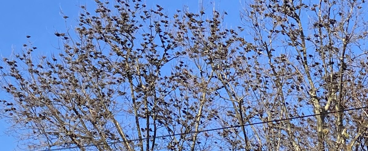 ceydanur (@theysaycey) on Twitter photo 